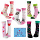 Wantee-Socken Damenclub 5-Pack Geschenkbox