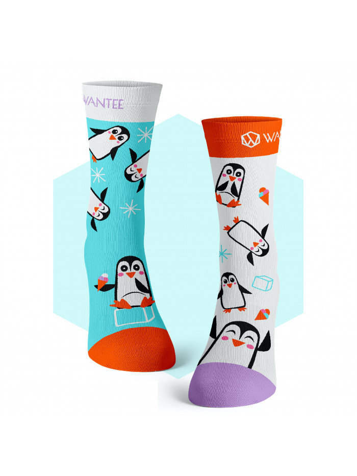 Wantee-Socken Wilde Tiere 5-Pack Geschenkbox