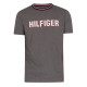 Herren T-Shirt Tommy Hilfiger CN SS Tee Graphic Lo...