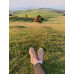 Socken Avocado Wantee