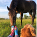 Socken Verspielte Hunde Wantee