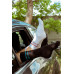 Socken Basic Black and Blue Wantee